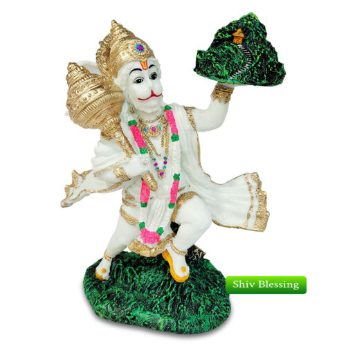 Sanjeevananagahatre Hanuman
