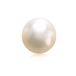 South Sea Pearl