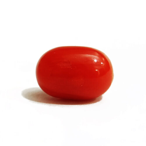 Natural Italian Red Coral – 5 carats | Certified Gemstone for Mars (Mangal) | Shiv Blessings | Premium Quality