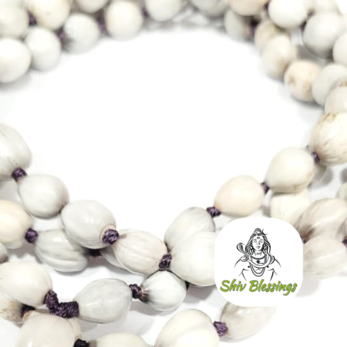 Spiritual Rosaries