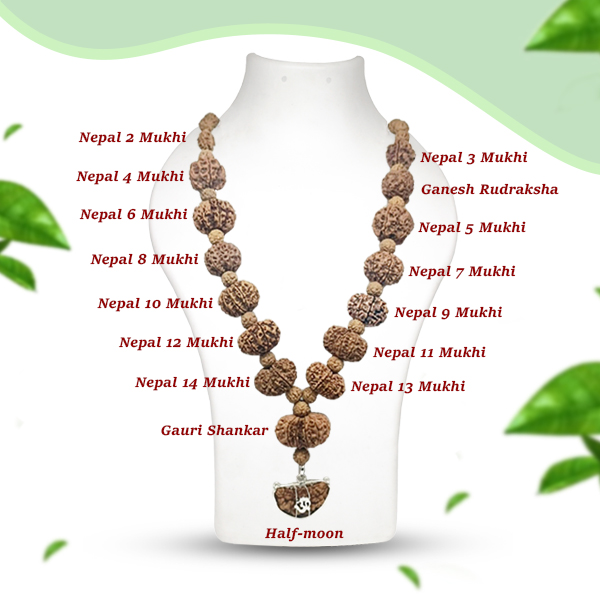 Siddh Mala (2 to 14 Mukhi, Halfmoon, Ganesh & Gaurishankar Rudraksha)