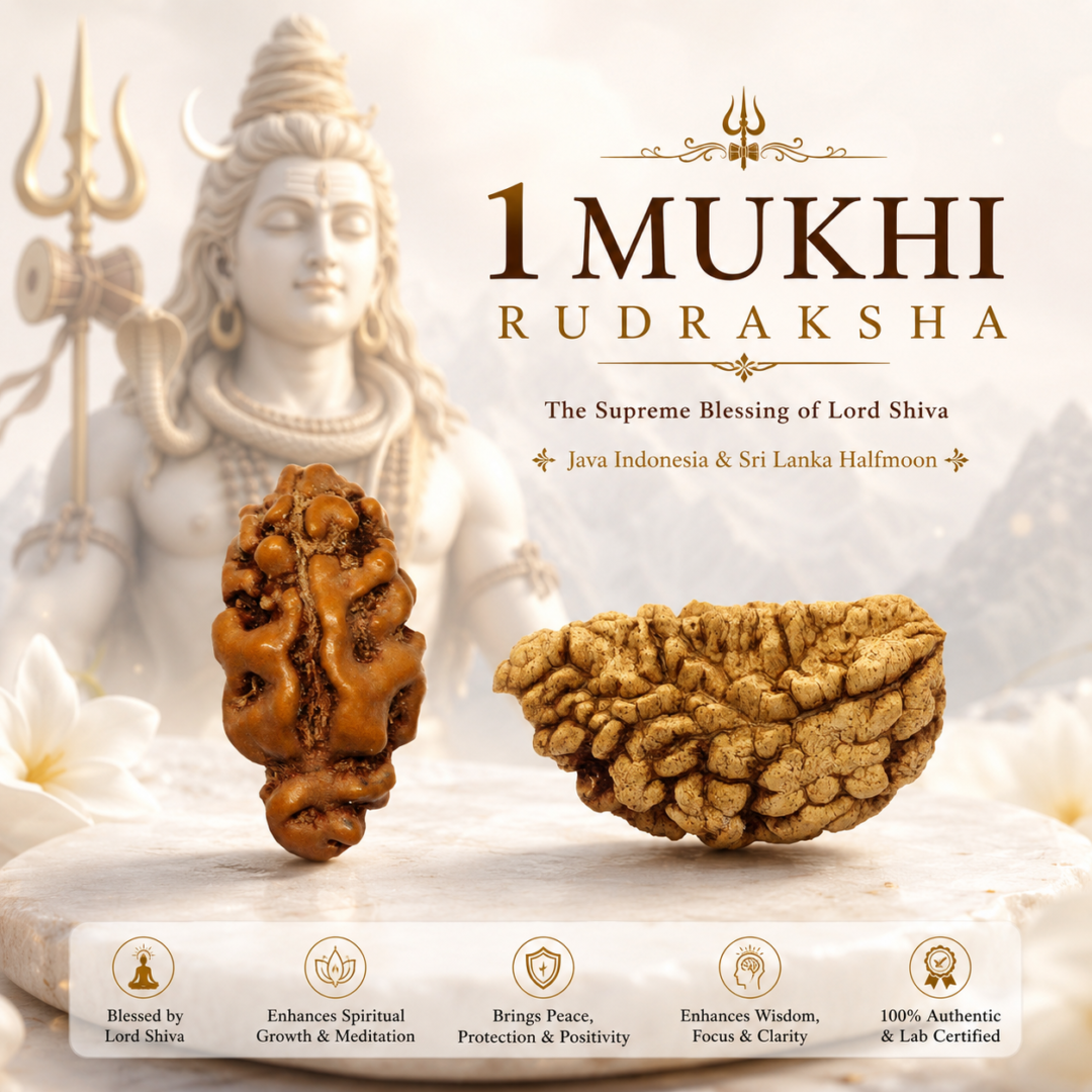 1 mukhi Rudraksha