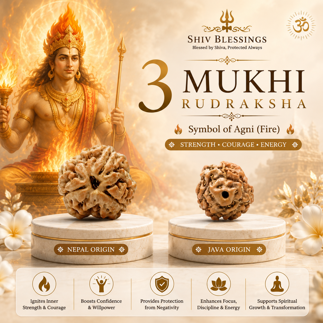 3 mukhi Rudraksha