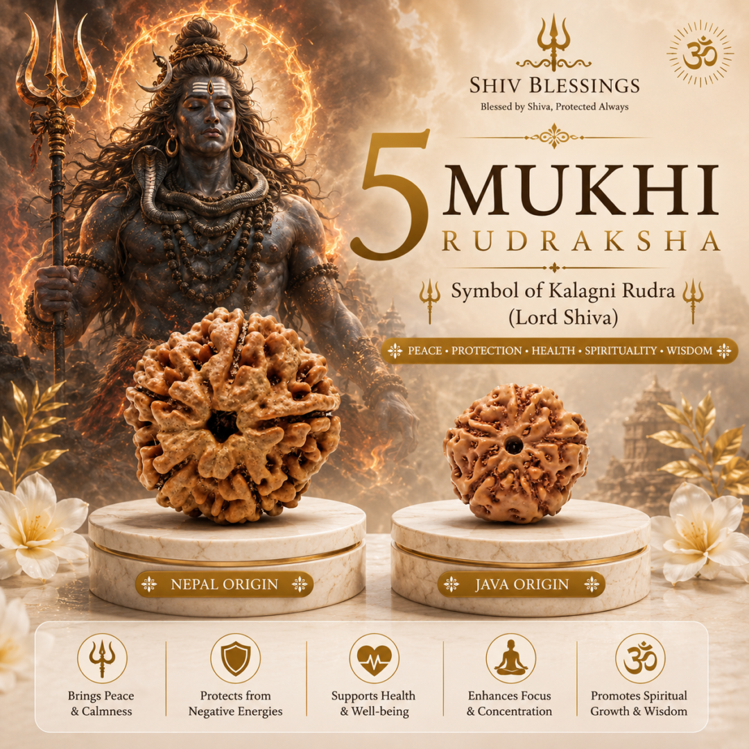 5 mukhi Rudraksha