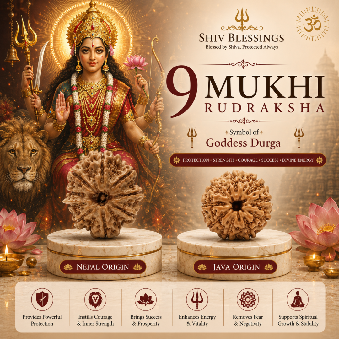 9 mukhi Rudraksha