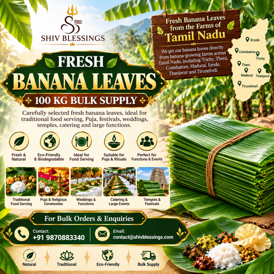 Fresh Banana Leaves - 100 KG Bulk Supply