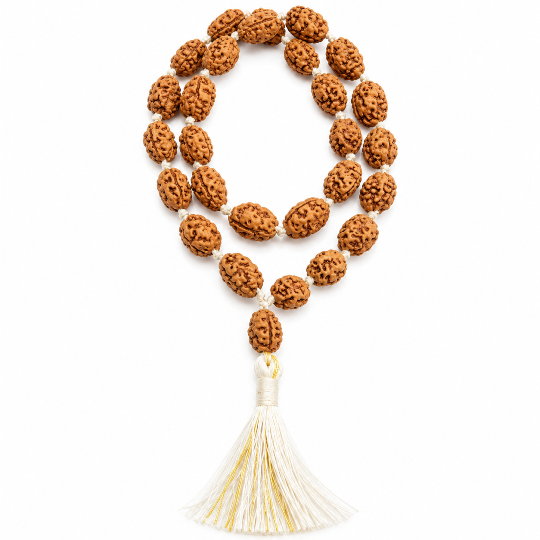 2 Mukhi Java Rudraksha Mala – Symbol of Unity and Harmony