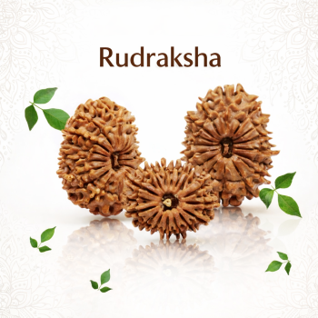 Rudraksha_category_image-edited-SB